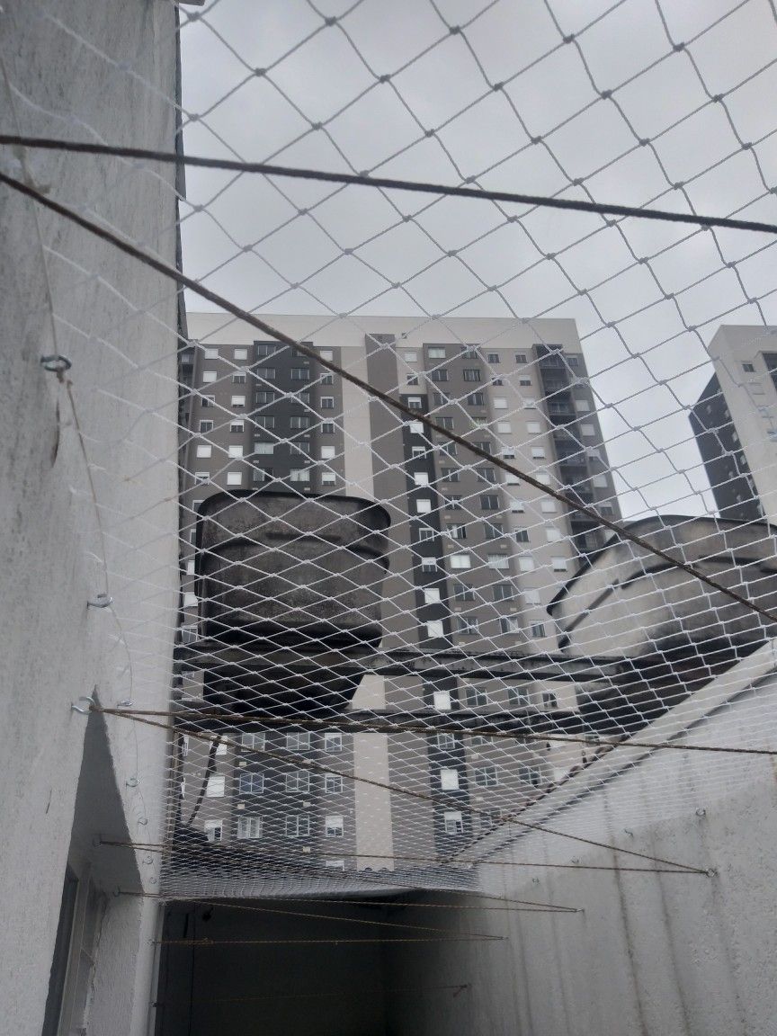 Reliable safety nets in Bengaluru for pigeon and child protection